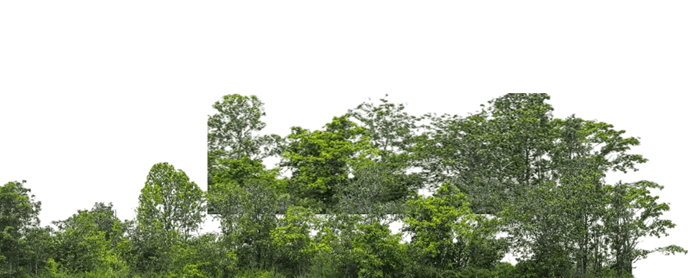 ขับเคลื่อนด้วยองค์ความรู้และเทคโนโลยี