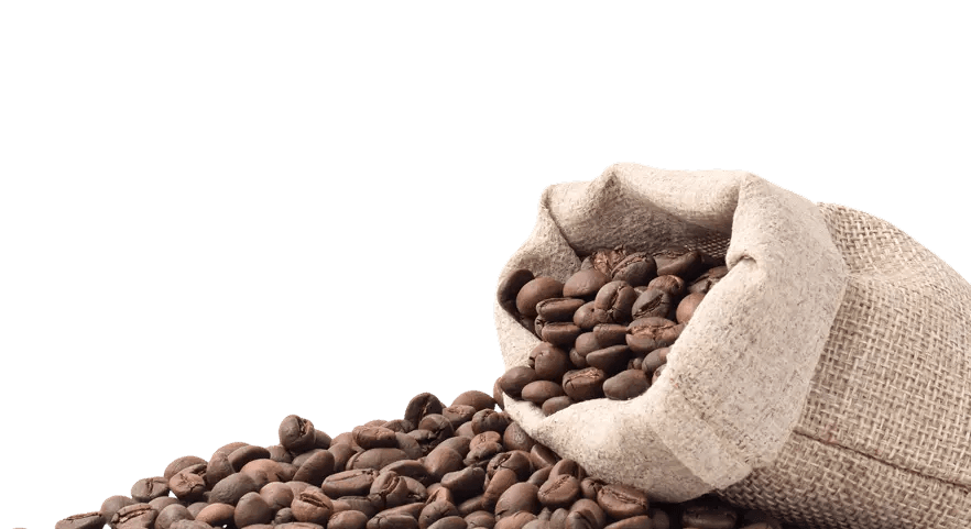 สร้างรายได้ที่มั่นคง
เป็นธรรม