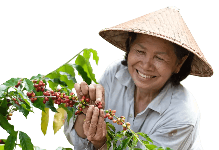 สร้างเครือข่าย
เกษตรกรไทยที่เข้มแข็ง